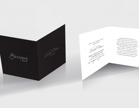 Exclusive by Andreotti