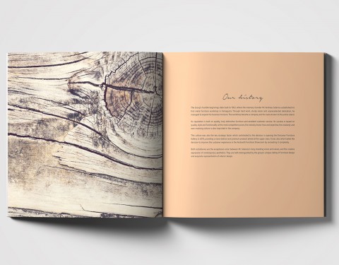 Andreotti Group – Company Profile